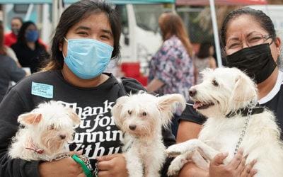 Caring for Pets Affected by the Pandemic