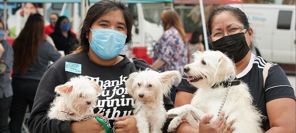 Caring for Pets Affected by the Pandemic