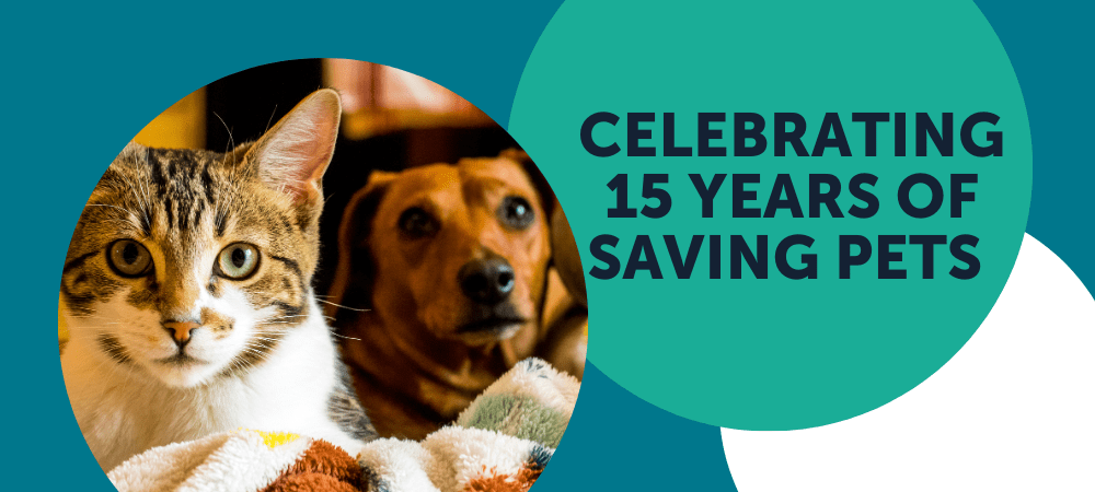 Michelson Found Animals Celebrates 15 Years of Saving Pets and Enriching Lives