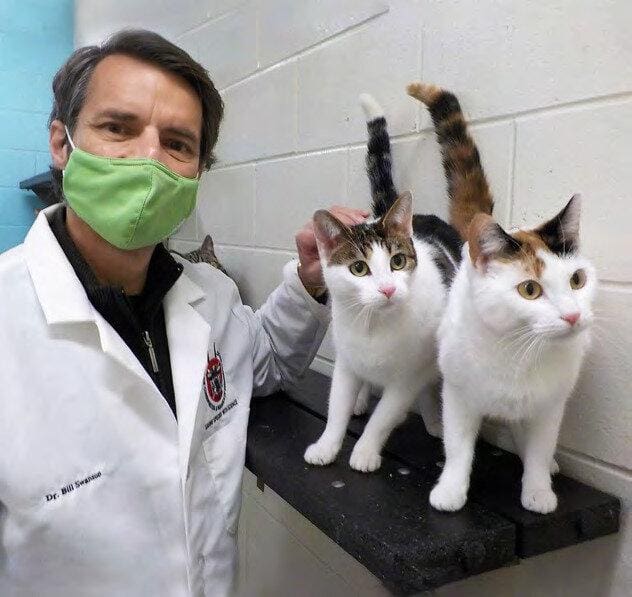 How Nonsurgical Sterilants will Eliminate Animal Shelter Euthanasia