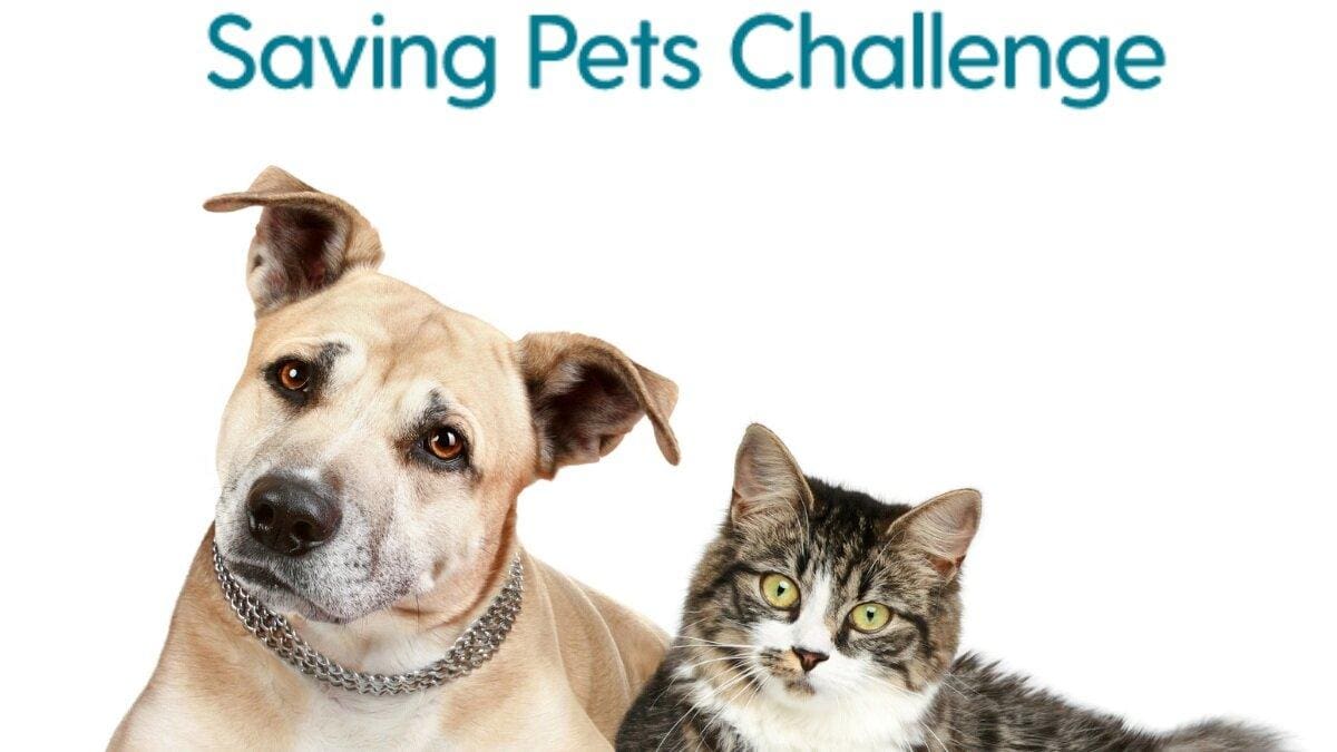 Michelson Found Animals Kicks Off the 2021 Saving Pets Challenge