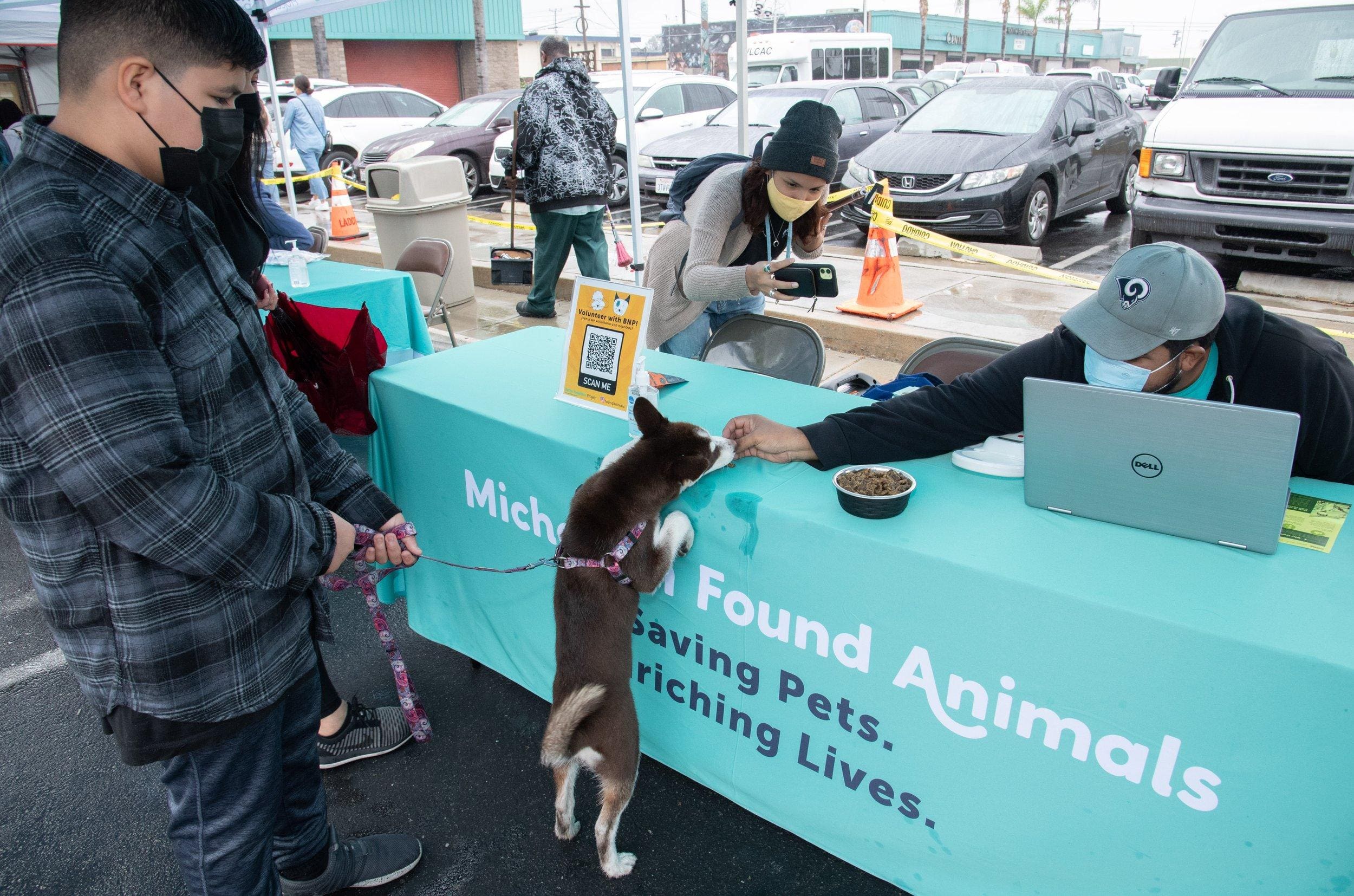 Better Neighbor Project Provides Pet Food and Services to Hundreds of Watts Residents