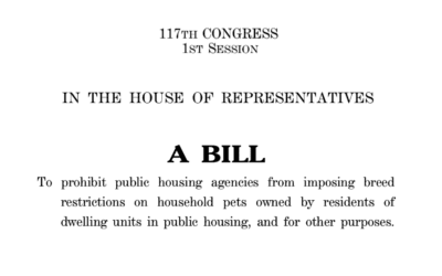 Congress Members Cite MFA’s Pet-Inclusive Housing Initiative Report in Introducing the ‘Pets Belong with Families Act’