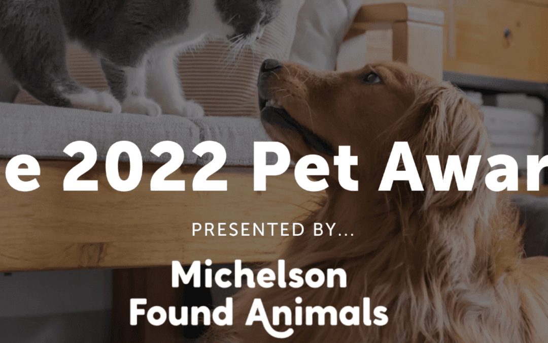 Application Period for the 2022 Pet Awards Extended to Friday
