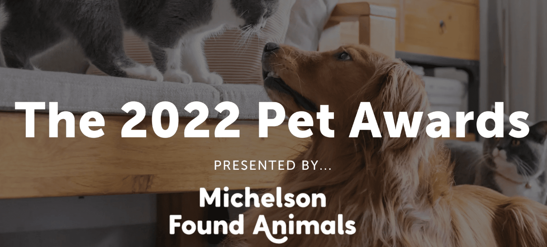 Application Period for the 2022 Pet Awards Extended to Friday