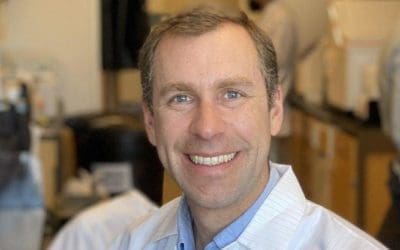 Scott Biering Researches the Role of Viral Proteins