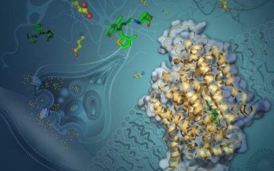 First Visualization of a Small Protein’s Structure Could Advance Treatments for Epilepsy and Other Disorders