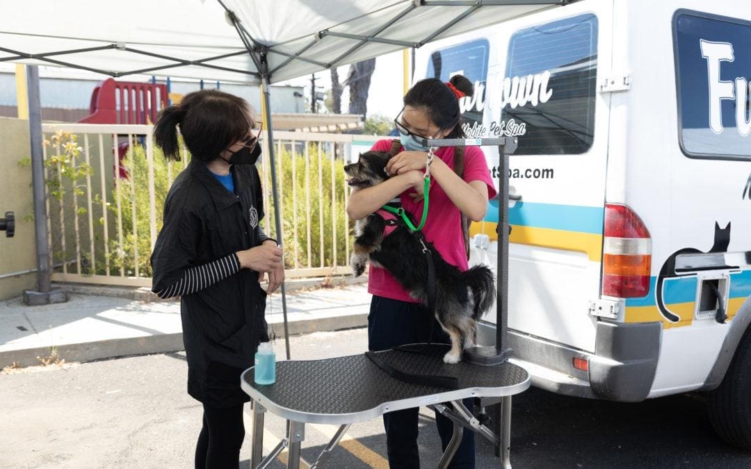 The Better Neighbor Project Pet Wellness Day