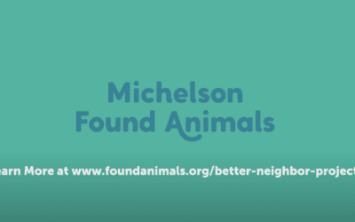 Better Neighbor Project