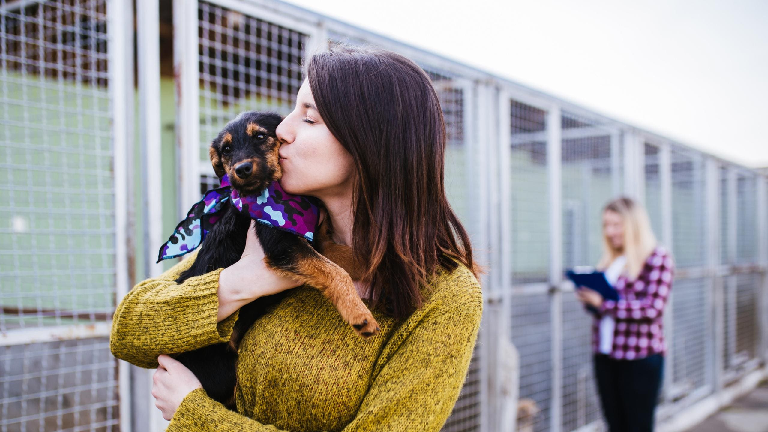 LA Animal Services, Michelson Found Animals Foundation & the Chargers Impact Fund Combine Efforts to Provide Critical Spay and Neuter Surgeries for Shelter Pets