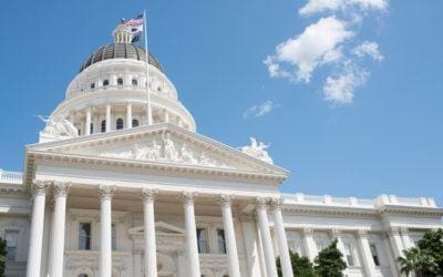 Progress Made in 2022 Towards Animal Welfare, Educational Equity, and Health Innovation
