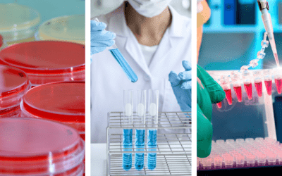 Artificial Intelligence Meets Immunology: Dr. Noam Auslander, 2022 Michelson Prize Recipient, Brings a New Approach to Cancer Diagnosis and Treatment