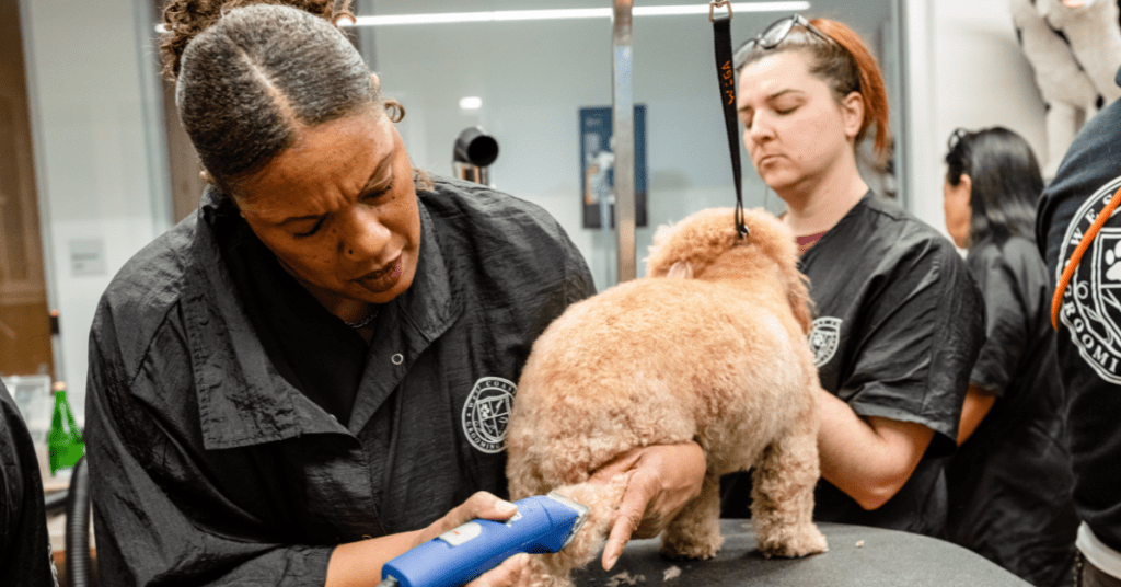 Arlecia, MIPP pet grooming graduate