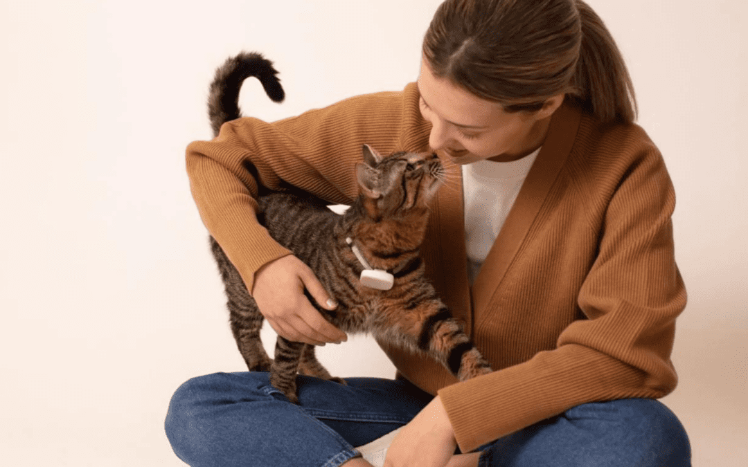 Meet Moggie: A Smart Wearable Health Device for Cats