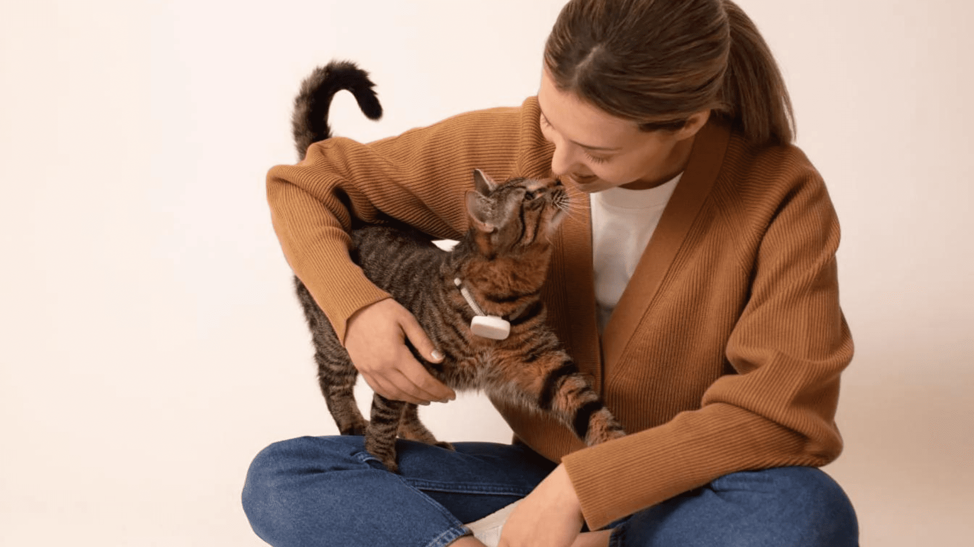 Meet Moggie: A Smart Wearable Health Device for Cats