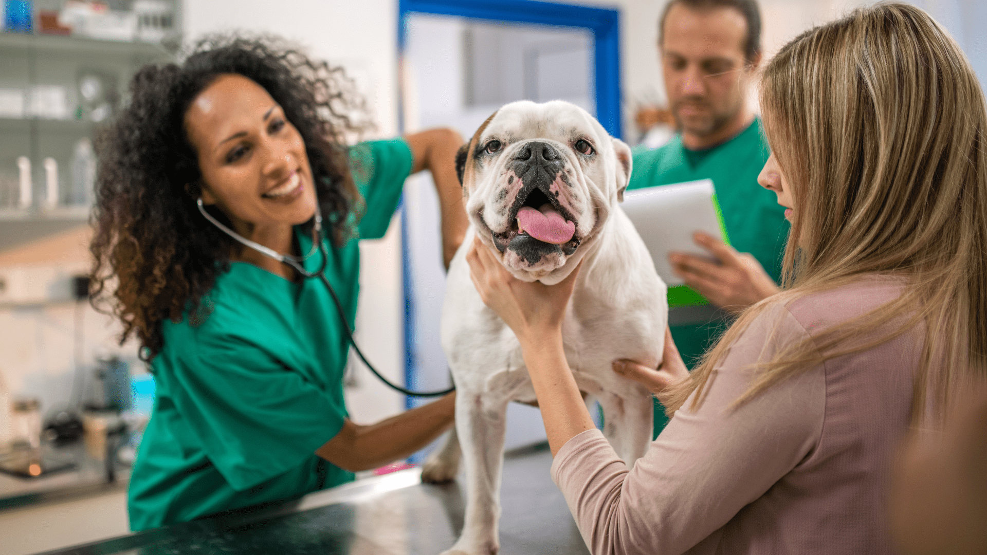 Vet Shortage and the Future of Pet Care