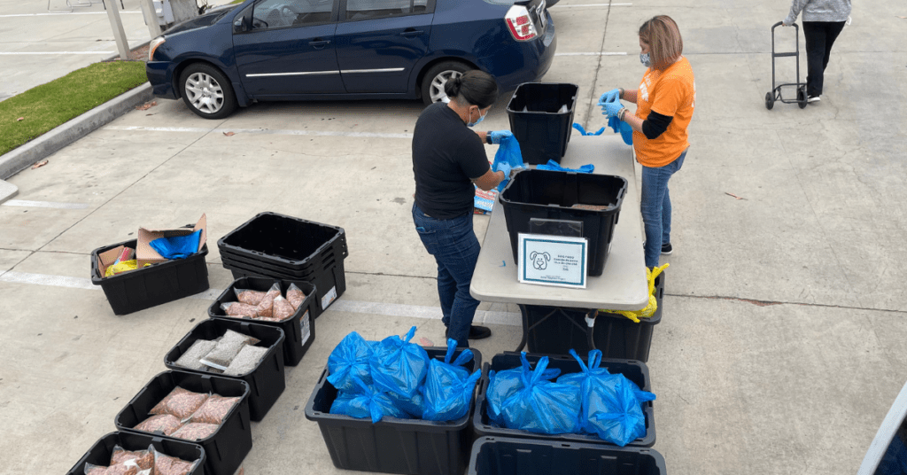 Paramount Foundation weekly pet pantry