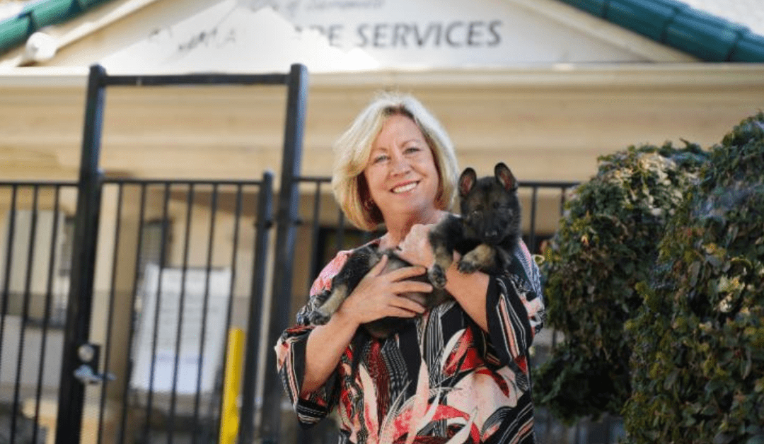 Gina Knepp: A Champion for Animal Welfare