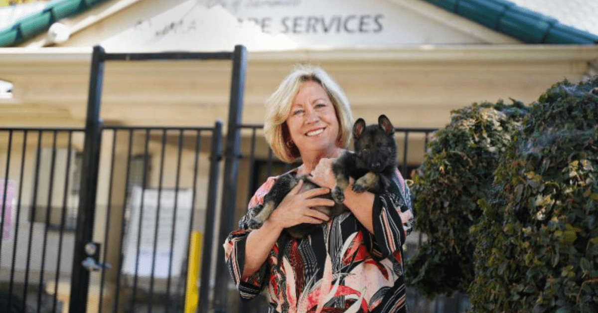 Gina Knepp: A Champion for Animal Welfare