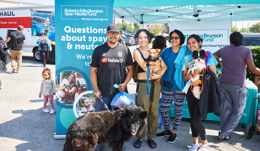 Free Pet Wellness Day in South Gate, California: Nearly 400 Pets Served!