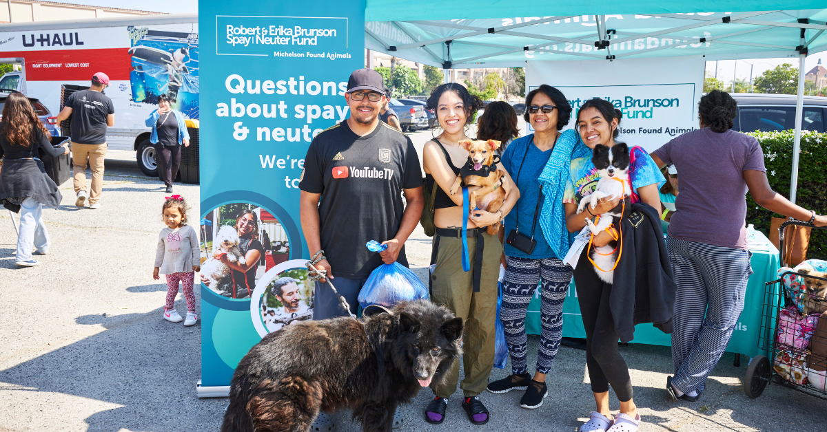 Free Pet Wellness Day in South Gate, California: Nearly 400 Pets Served!