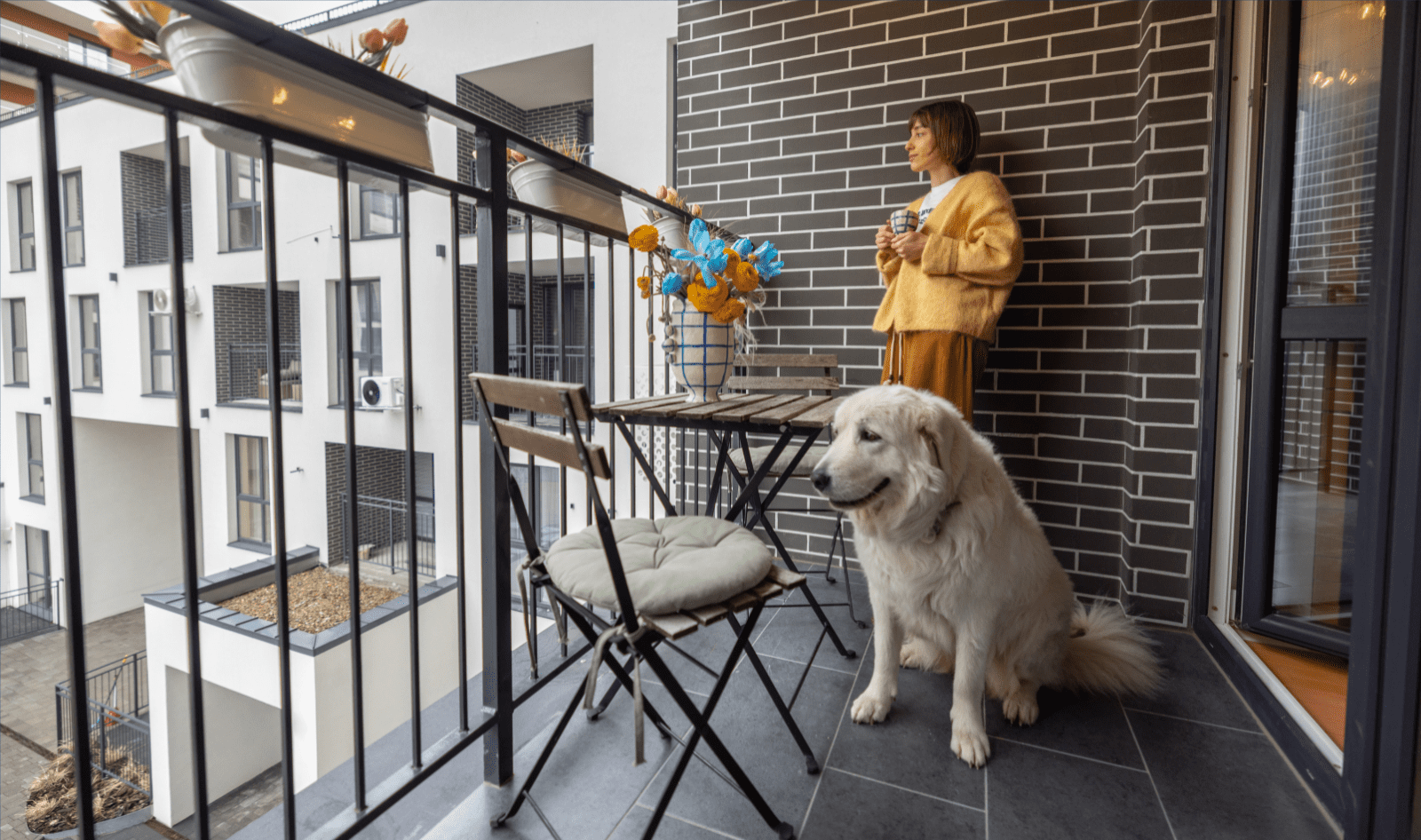 Curated visual reference: Visual Reference: The Pet Inclusive Scorecard Is Your Property Pet Inclusive