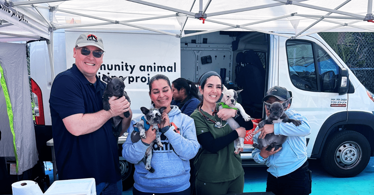 Boyle Heights Pet Wellness Day 300 Pets & Families Served